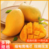 緬甸鷹嘴芒鮮現(xiàn)摘9斤裝芒果當季水果農產(chǎn)品云南緬甸廠家  2件起批